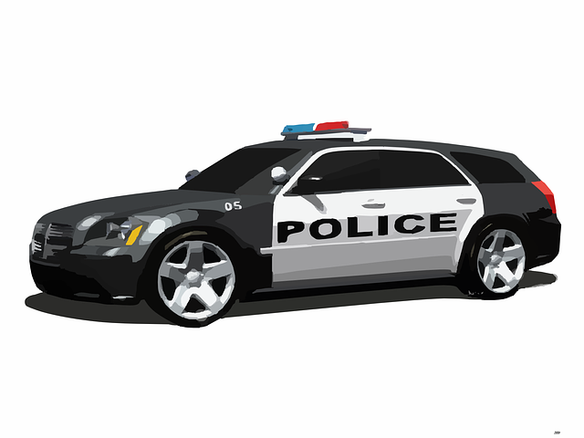 police-car-297720_640